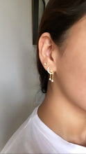 Load image into Gallery viewer, Over The Moon Earrings