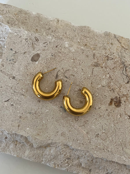 Maddie Hoops