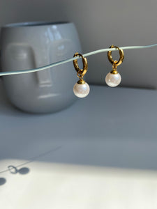 Oyster Earrings