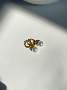 Oyster Earrings
